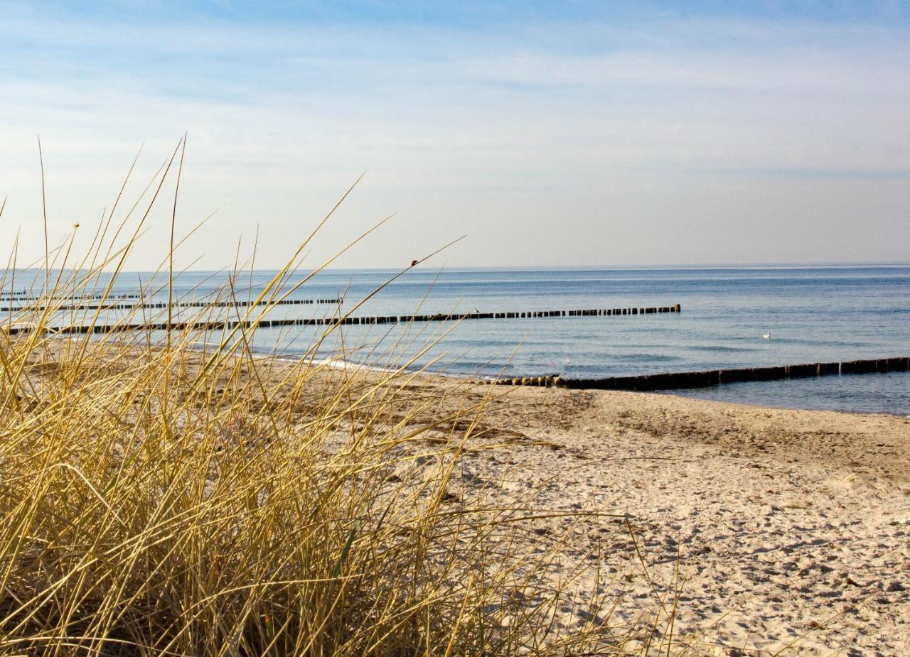 Fewo Strandleben Haus Strandperle Börgerende-Rethwisch Zewnętrze zdjęcie